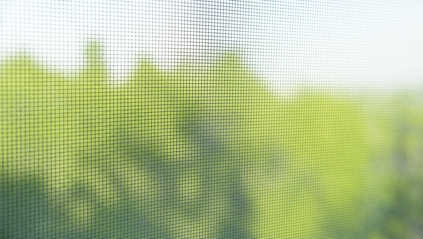 A clean window screen backlit by daylight
